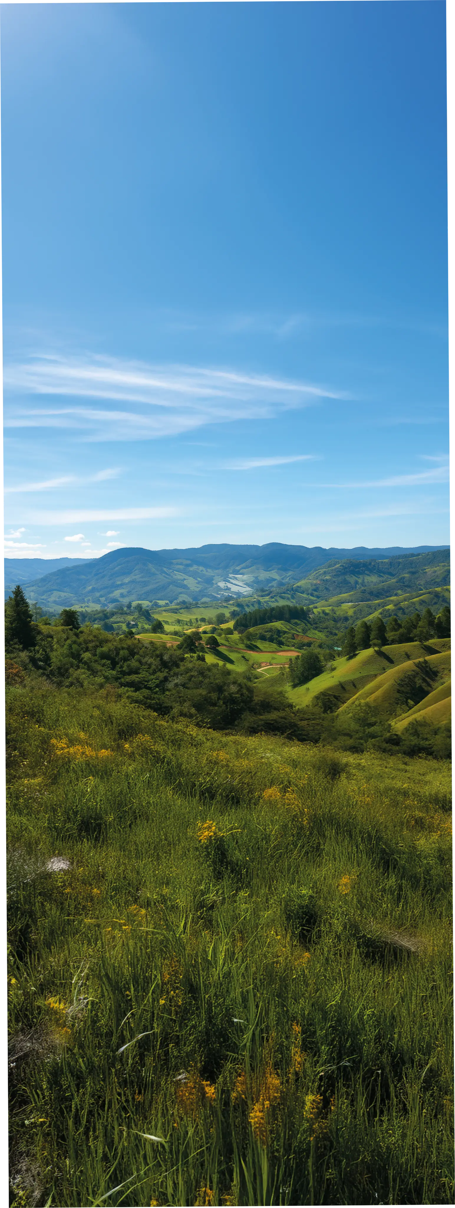 Paisaje natural de Cantos del Bosque